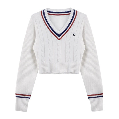 Women's V-Neck Embroidered Sweater